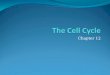 Chapter 12. Cell Division – Why? Growth Repair Reproduction