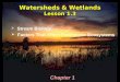 Watersheds & Wetlands Lesson 1.3  Stream Biology  Factors That Affect Freshwater Ecosystems Chapter 1