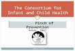 The Consortium for Infant and Child Health Pinch of Prevention Module: FAMIS Pinch of Prevention Module: FAMIS Updated: Spring 2009