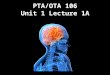 PTA/OTA 106 Unit 1 Lecture 1A. PTA 106 Regional Anatomy and Physiology Regional Anatomy- Focuses on the anatomical organization of specific areas of the