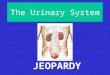 The Urinary System JEOPARDY To Pee or Not to Pee… Gee Whiz Starts With Pee Soup Pee is For Parts Final Jeopardy! #1 Final Jeopardy! #1 Pee is For Pathway