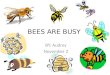 BEES ARE BUSY BY: Audrey November 2. Bees are alive! Bees are born Bees breath air Bees eat Bees grow Bees die