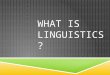 WHAT IS LINGUISTICS?. LINGUISTICS IS THE SCIENTIFIC STUDY OF HUMAN NATURAL LANGUAGE