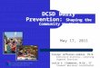 DCSD Bully Prevention: Shaping the Community We Want Carolyn Jefferson-Jenkins, Ph.D. Executive Director, Learning Support Services Leslie V. Clemensen,
