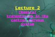 Lecture 2 Chemical transmission in the central nervous system