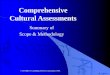 Comprehensive Cultural Assessments Summary of Scope & Methodology A. Levin © SYNERGY Consulting Services Corporation, 1999