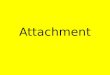 Attachment. By the end of the lesson Attachment Attachment target 2 purposes of forming attachment Secure base Proximity maintenance Separation distress