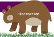 Hibernation By Lindsey Harrison As the weather gets colder in the autumn and leaves start falling from the trees, some animals start getting ready to