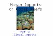 Human Impacts on Coral Reefs Part 3 Global Impacts Part 3 Global Impacts