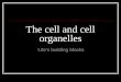 The cell and cell organelles Life’s building blocks