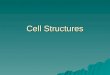 Cell Structures. The Cell Theory  All living things are composed of cells.  Cells are the basic units of structure and function in living things