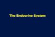 The Endocrine System. Endocrine System Functions Maintenance of the internal environment in the body (maintaining the optimum biochemical environment)