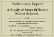 An examination of Strategies and Practices in Selected Maine Schools David L. Silvernail Erika Stump Maine Education Policy Research Institute University