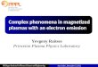 Complex phenomena in magnetized plasmas with an electron emission Yevgeny Raitses Princeton Plasma Physics Laboratory Michigan Institute for Plasma Science