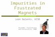 Impurities in Frustrated Magnets Leon Balents, UCSB Disorder, Fluctuations, and Universality, 2008