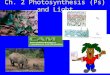 Ch. 2 Photosynthesis (Ps) and Light. CAM and Epiphytes Epiphytes: –Abundant tropical rain forests