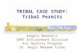 TRIBAL CASE STUDY: Tribal Permits Angela Benedict SRMT Environment Division Air Quality Program St. Regis Mohawk Tribe