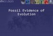 Fossil Evidence of Evolution. 21222324252627282930 11121314151617181920 Contemporary Scientific History of the Universe 12345678910 13.7 billion years
