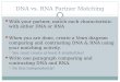 DNA vs. RNA Partner Matching With your partner, match each characteristic with either DNA or RNA When you are done, create a Venn diagram comparing and