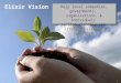 1 Elixir Vision Help local companies, governments, organizations, & individuals succeed globally via Strategic Creative Solutions