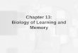 Chapter 13: Biology of Learning and Memory. Learning, Memory, Amnesia, and Brain Functioning An early influential idea was that physical changes occur