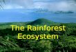 The Rainforest Ecosystem. What is a Rainforest? a tropical woodland with an annual rainfall of at least 100 inches (254 centimeters) and marked by lofty