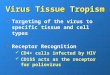 Virus Tissue Tropism Targeting of the virus to specific tissue and cell types Receptor Recognition CD4+ cells infected by HIV CD155 acts as the receptor