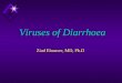 Viruses of Diarrhoea Ziad Elnasser, MD, Ph.D. Viral Gastroenteritis  It is thought that viruses are responsible for up to 3/4 of all infective diarrhoeas