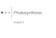 Photosynthesis Chapter 6. Carbon and Energy Sources Photoautotrophs Carbon source is carbon dioxide Energy source is sunlight Heterotrophs Get carbon