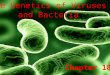 Chapter 18 The Genetics of Viruses and Bacteria. Recall that bacteria are prokaryotes – With cells much smaller and more simply organized than those of