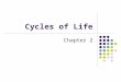 Cycles of Life Chapter 2. Key Concepts How carbon, oxygen, and nitrogen are cycled through an ecosystem How the composition of soil affects an ecosystem