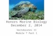 Honors Marine Biology December 2, 2014 Vertebrates II Module 7 Part 1