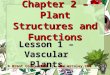 Chapter 2 – Plant Structures and Functions Lesson 1 – Vascular Plants © Brent Coley 2009 | 