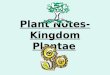 Plant Notes- Kingdom Plantae. Characteristics of Plants Multicellular ( many-celled) Autotrophic ( make their own food) Primary producers in most ecosystems