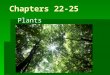 Chapters 22-25 Plants. Characteristics  Eukaryotes  Multicellular  Cell walls of cellulose  Carry out photosynthesis using pigments chlorophyll a