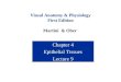 Visual Anatomy & Physiology First Edition Martini & Ober Chapter 4 Epithelial Tissues Lecture 9