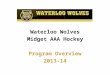 Waterloo Wolves Midget AAA Hockey Program Overview 2013-14