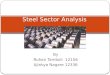 By Ruhan Tamboli 12156 Ajinkya Nagare 12336 Steel Sector Analysis