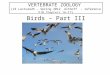 Birds – Part III VERTEBRATE ZOOLOGY (VZ Lecture25 – Spring 2012 Althoff - reference PJH Chapters 16-17) Bill Horn
