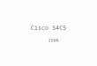 Cisco S4C5 ISDN. Designed to solve low bandwidth problems in small offices Also designed for dial-in users with traditional telephone dial-in services