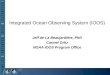 Jeff de La Beaujardière, PhD Carmel Ortiz NOAA IOOS Program Office Integrated Ocean Observing System (IOOS)