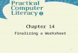 1 Chapter 14 Finalizing a Worksheet. Practical Computer Literacy, 2 nd edition Chapter 14 2 What’s Inside and on the CD? In this chapter, you will learn
