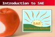 Introduction to SAE. Objective 6.01 Apply employability skills in work-based learning and career planning activities in order to understand the needs