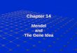 Chapter 14 Mendel and The Gene Idea. Genetics developed from curiosity about inheritance