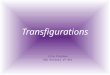 Transfigurations Lisa Florman OSU History of Art