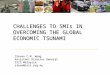 CHALLENGES TO SMIs IN OVERCOMING THE GLOBAL ECONOMIC TSUNAMI Steven C.M. Wong Assistant Director General ISIS Malaysia steve@isis.org.my