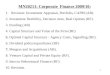 1 MN20211: Corporate Finance 2009/10: 1.Revision: Investment Appraisal, Portfolio, CAPM (AB). 2. Investment flexibility, Decision trees, Real Options (RF)