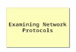Examining Network Protocols. Overview Introduction to Protocols Protocols and Data Transmissions Common Protocols Other Communication Protocols Remote