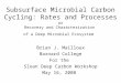 Subsurface Microbial Carbon Cycling: Rates and Processes or Recovery and Characterization of a Deep Microbial Ecosystem Brian J. Mailloux Barnard College