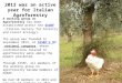 2013 was an active year for Italian Agroforestry A working group on Agroforestry has been established within the SISEF (Italian Society for Forestry and
